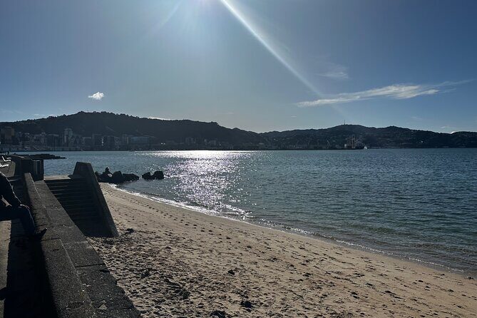 Private Wellington City Highlight Tour - FAQ