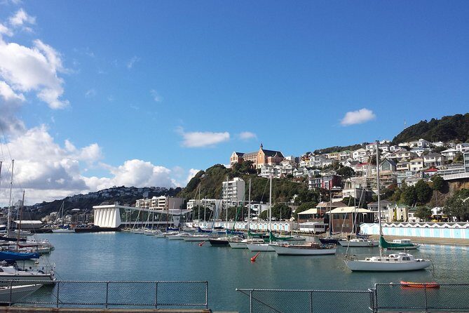 Private Wellington Full Day Sightseeing Tour - FAQ