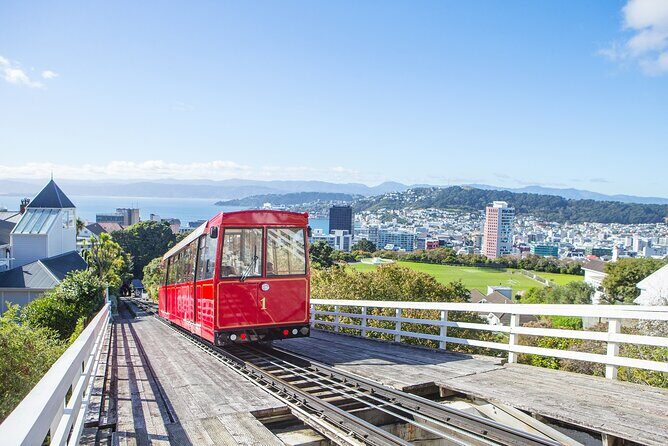 PRIVATE Wellington Half Day Tour including Cable Car - The Sum Up