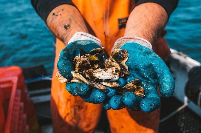 Private West Passage Oyster Tasting Aquaculture Tour - Practical Information for Travelers