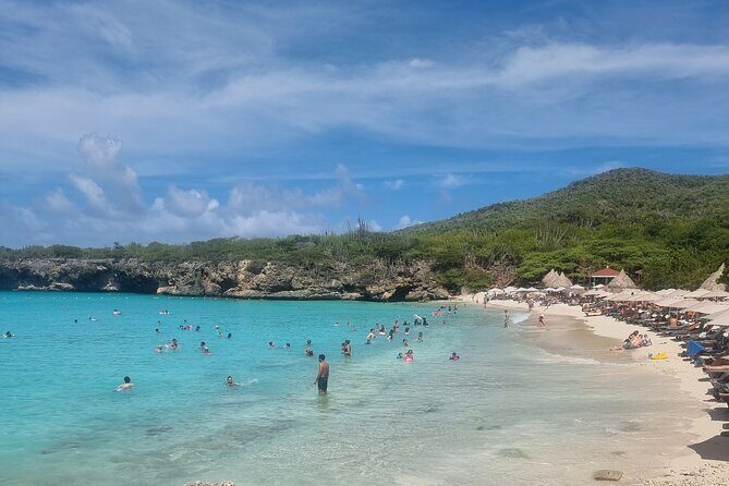 Private Westcoast Beachhop Tour. Turtle beach, grote knip & More - Frequently Asked Questions