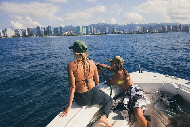 Private Whale Watching Activity - The Experience: What You Can Expect on This Whale Watching Tour