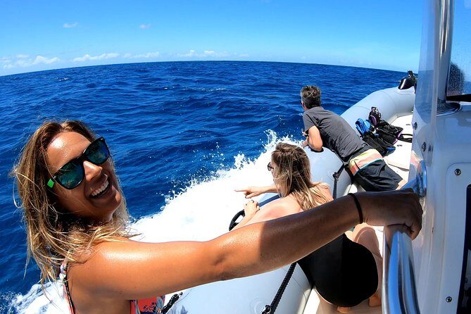 Private Whale Watching Adventure - Key Points