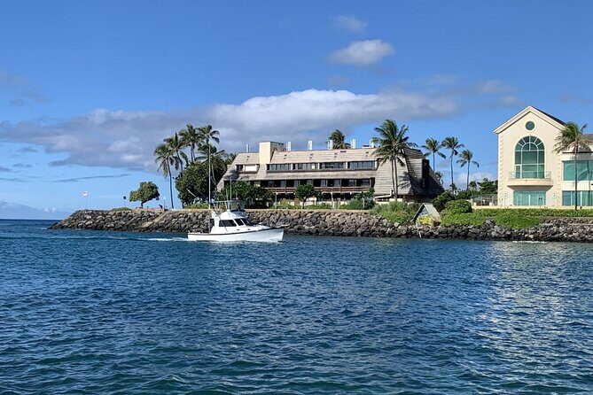 Private Whale Watching and Dolphin Excursion - Final Thoughts: The Value of a Quiet, Personalized Marine Adventure