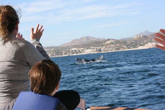 Private Whale Watching in San José del Cabo - Who This Tour Is Best For