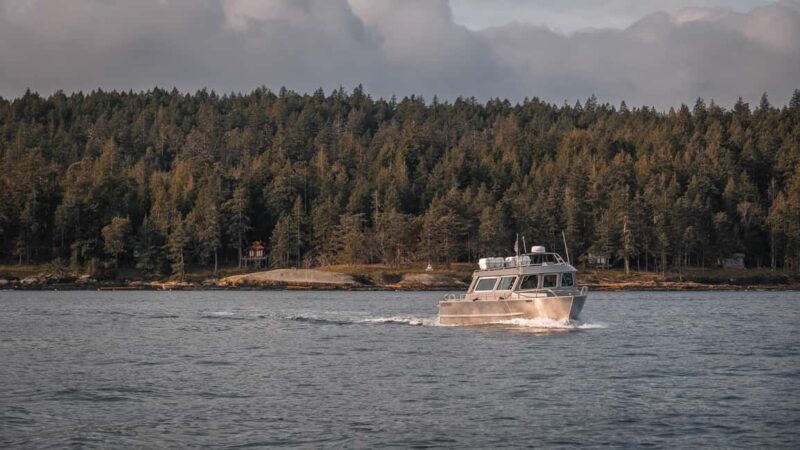 Private Whale Watching Nanaimo - Semi-Covered Boat - Key Points