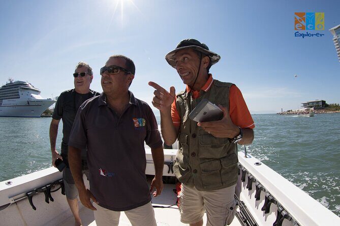 Private Whale watching Puerto Vallarta - Discovering Puerto Vallarta’s Marine World
