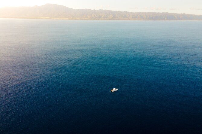 Private Whale Watching Tour of Oahu - The Sum Up