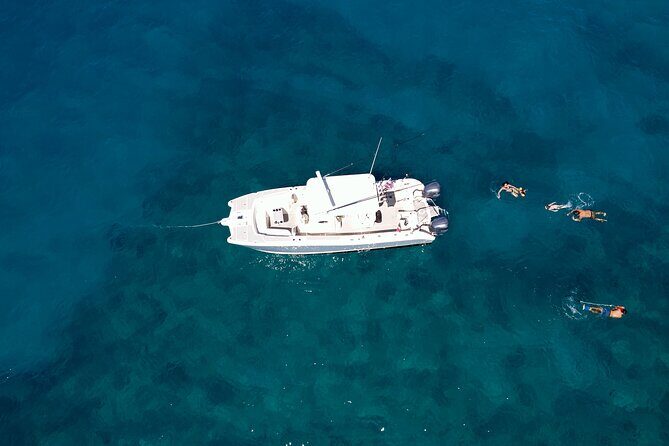 Private Whale Watching Trip from Oahu - A Close-Up Look at Oahu’s Private Whale Watching Trip
