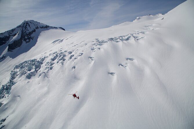 Private Whistler Helicopter Tour + Mountain Landing - Authentic Experiences and Honest Opinions from Travelers