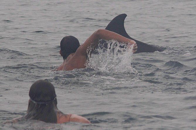 Private Wild Dolphin Encounter in Puerto Vallarta - An In-Depth Look at the Experience