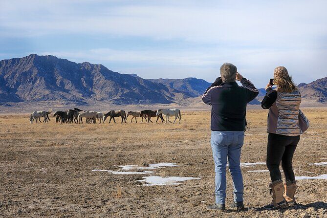 Private Wild Horse Photo Safari from Tooele - FAQ
