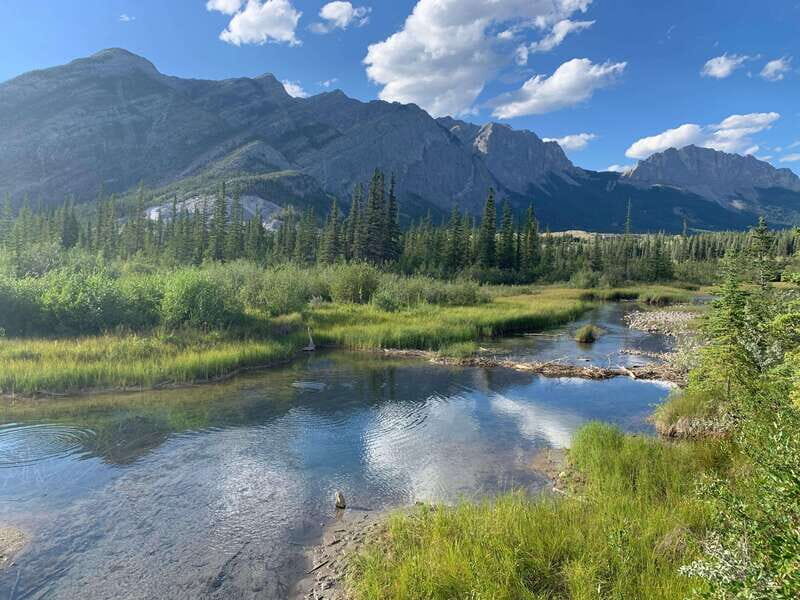 PRIVATE Wilderness and Wildlife Walking Tour - 2.5H - An Honest Look at the Experience