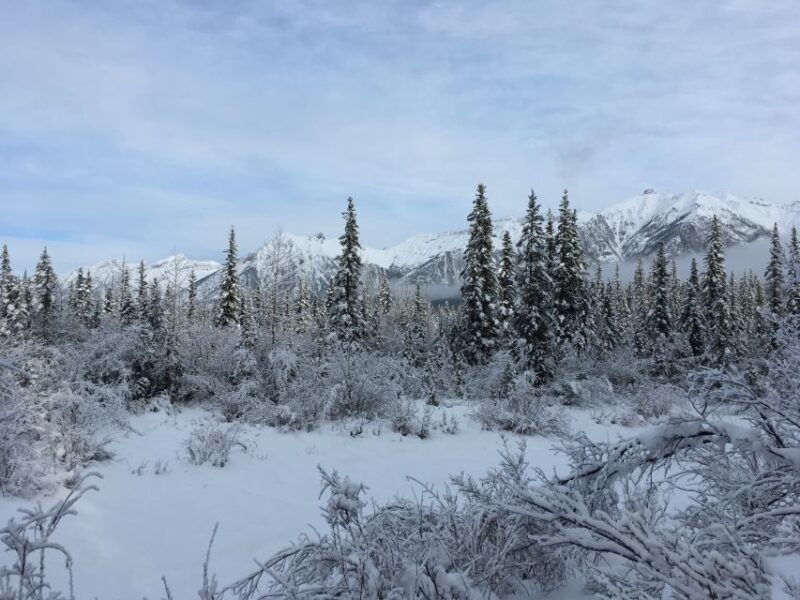 PRIVATE Wilderness and Wildlife Walking Tour - 2.5H - Practical Considerations