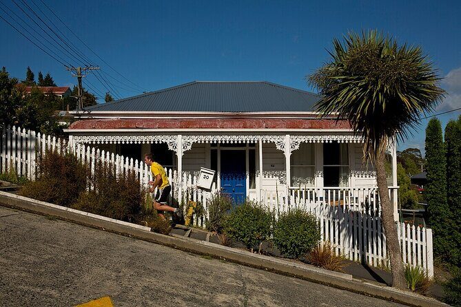 Private Wildlife and Penguin Tour in Dunedin with Ticket - Introduction: A Rich Tapestry of Scenery, History, and Wildlife