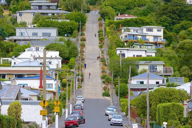 Private Wildlife and Penguin Tour in Dunedin with Ticket - FAQs