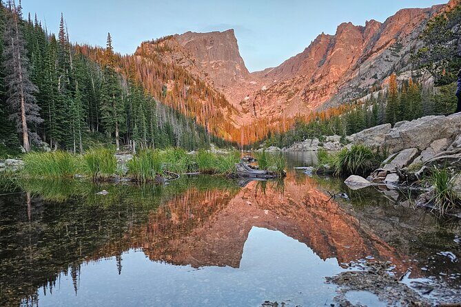 Private Wildlife Hiking Tour in Rocky Mountain National Park - What is the Private Wildlife Hiking Tour?