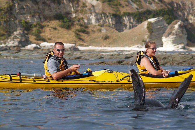Private Wildlife Kayaking Tour - Kaikoura - Who Will Really Love This Experience?