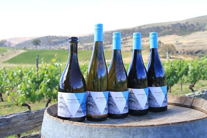 Private Wine and Beverage Tours in Tasmania - The Experience: What You Can Expect