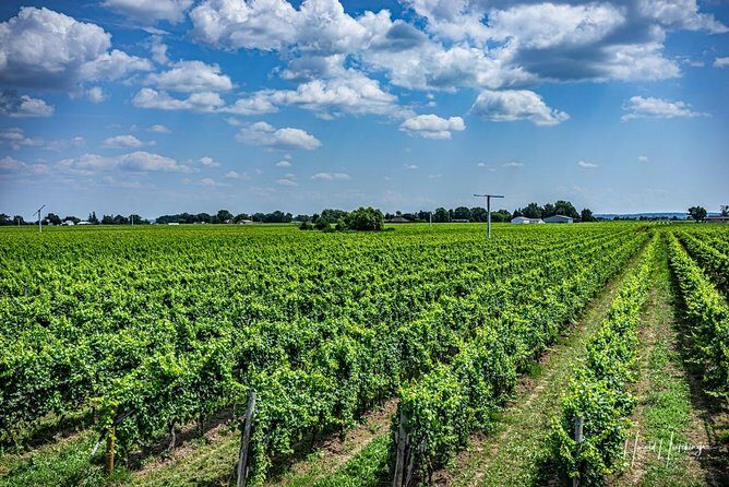 Private Wine and Chocolate Tour in Niagara Wine Region - FAQs About the Tour