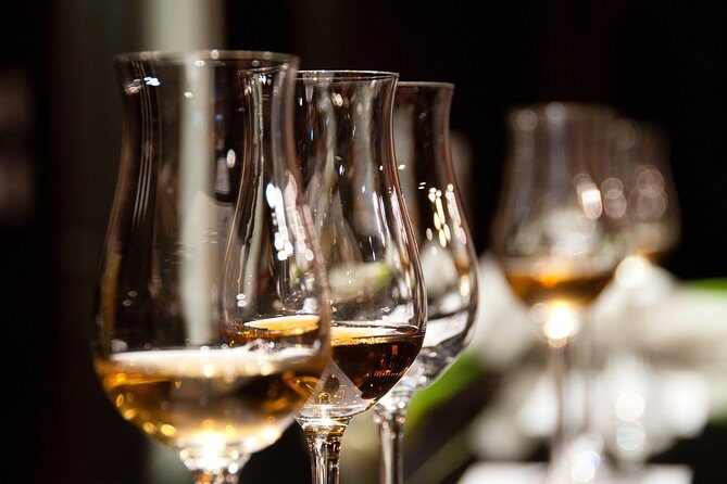 Private Wine & Charcuterie Tour (Customizable) - What Reviewers Say
