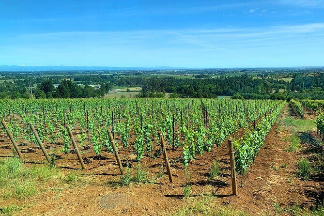 Private Wine Excursion Willamette Valley, Oregon - Wine Tour - The Sum Up