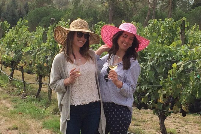 Private Wine Gourmet and Scenic Delights Tour from Blenheim - Final Thoughts