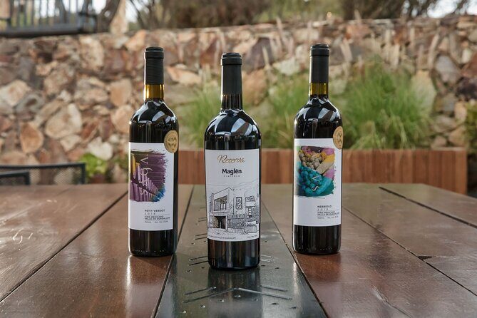 Private Wine Tasting Experience in Maglén - Practical Details and Value