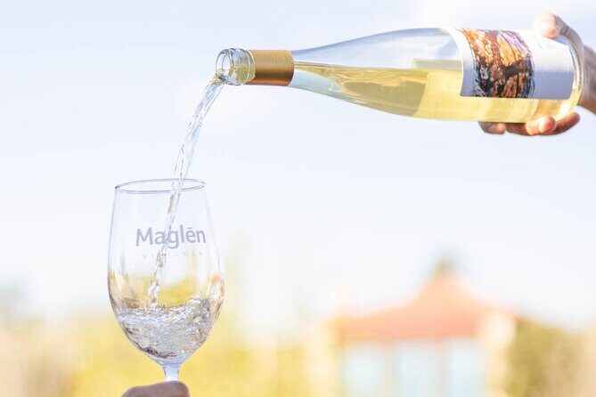 Private Wine Tasting Experience in Maglén - FAQ