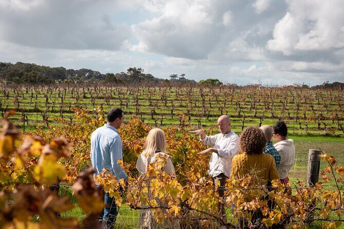 Private Wine Tasting in Barrel Hall - The Itinerary Breakdown
