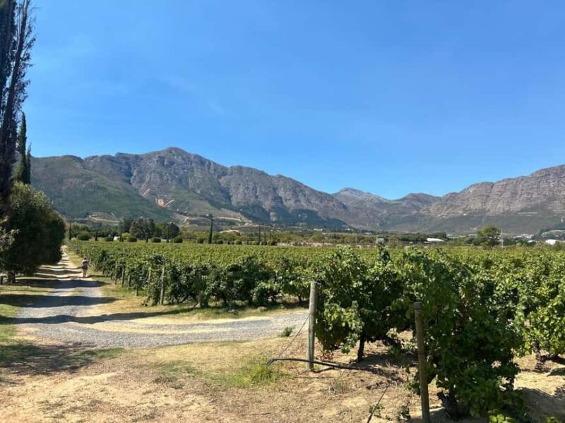 Private Wine Tasting Tour: Stellenbosch and Franschhoek - Frequently Asked Questions