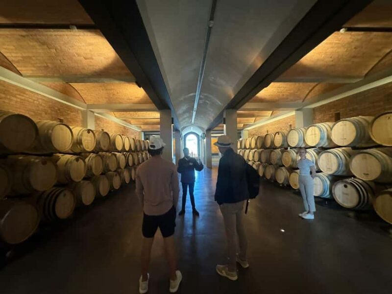 Private Wine Tasting Tour: Stellenbosch, Franschhoek, Paarl - In The Sum Up