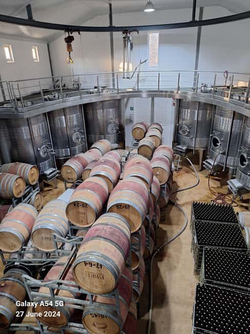 Private Wine Tasting tour - Why This Tour Might Be Perfect for You