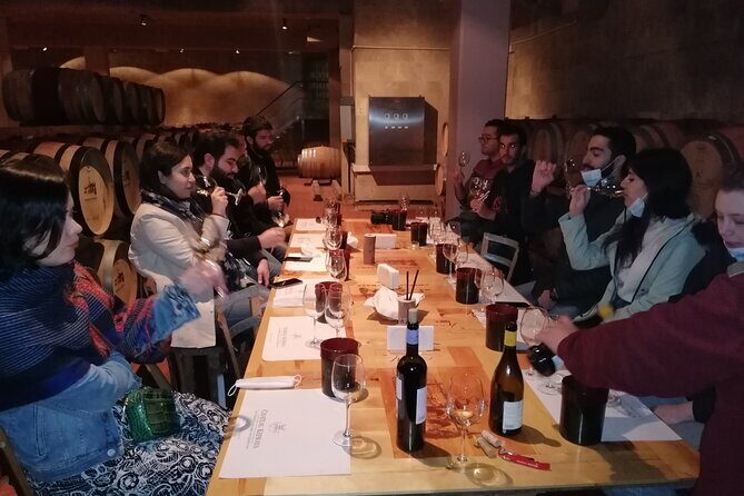 PRIVATE Wine Tasting Tour to the Bekaa Valey Fabulous Wineries - An In-Depth Look at the Bekaa Valley Wine Tour
