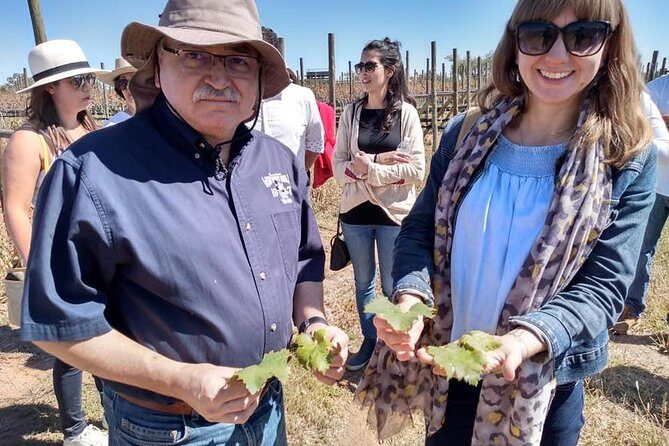 Private wine tasting & wine pairing tours - FAQ