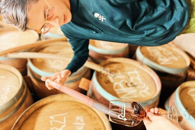 Private Wine Tour at Valle de Guadalupe (A wine tasting included). - Exploring the Best of Valle de Guadalupe with a Private Wine Tour