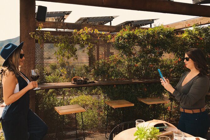 Private Wine Tour at Valle de Guadalupe (A wine tasting included). - An Introduction to the Valle de Guadalupe Private Wine Tour
