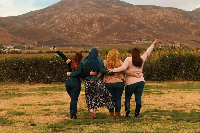 Private Wine Tour at Valle de Guadalupe (A wine tasting included). - The Value of This Private Wine Tour