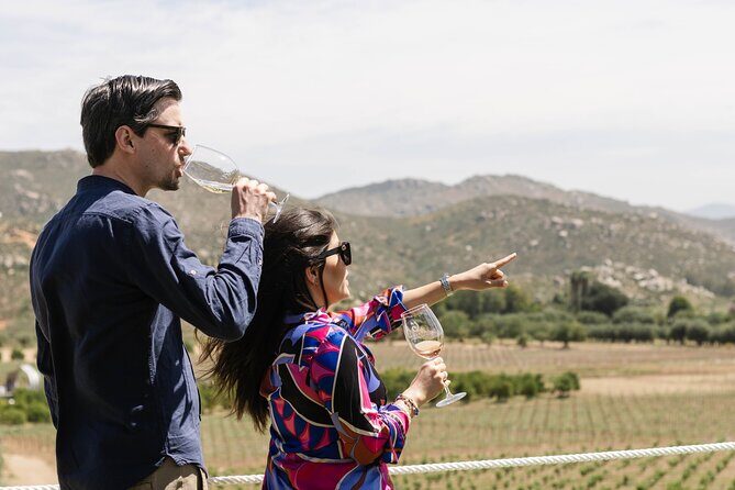 Private Wine Tour by Ansell Tours - Vehicle and Comfort
