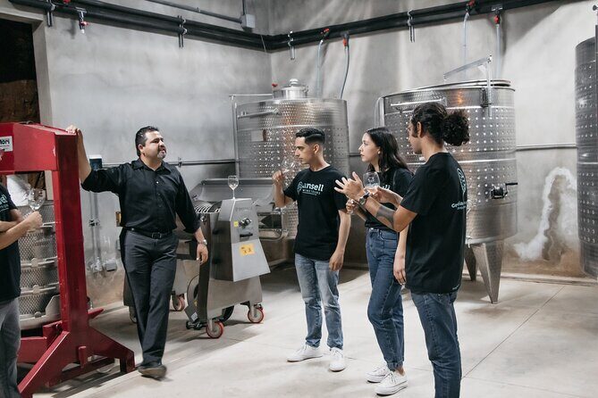 Private Wine Tour by Ansell Tours - Who Should Consider This Tour?