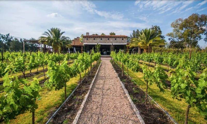 Private Wine Tour from Guanajuato City - Key Points