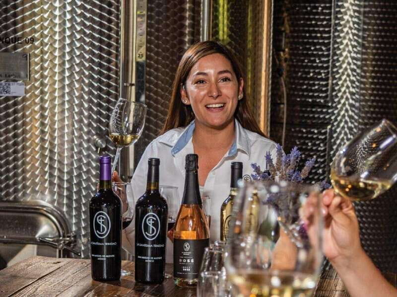 Private Wine Tour from Guanajuato City - The Sum Up