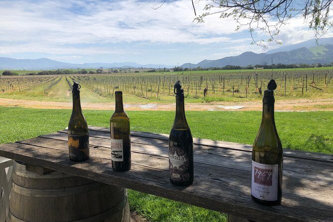 Private Wine Tour from the Santa Ynez Valley - An In-Depth Look at the Santa Ynez Private Wine Tour