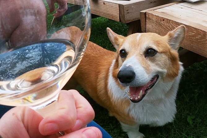 Private Wine Tour from the Santa Ynez Valley - Who Will Love This Experience?