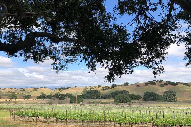 Private Wine Tour from the Santa Ynez Valley - The Sum Up: Is the Santa Ynez Private Wine Tour Right for You?