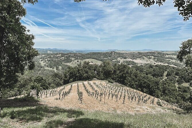 Private Wine Tour in Paso Robles - The Value of the Tour