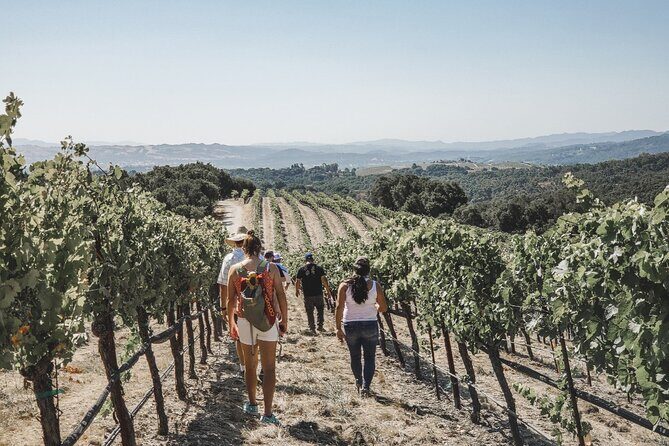 Private Wine Tour in Paso Robles - Who Would Love This Tour?