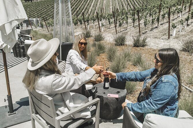 Private Wine Tour in Paso Robles - The Sum Up: Who Should Book This Tour?