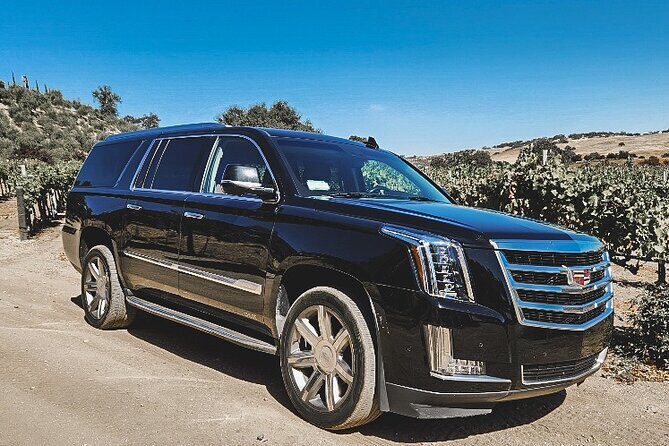 Private Wine Tour in Santa Barbara Wine Country - Overall Value and Considerations