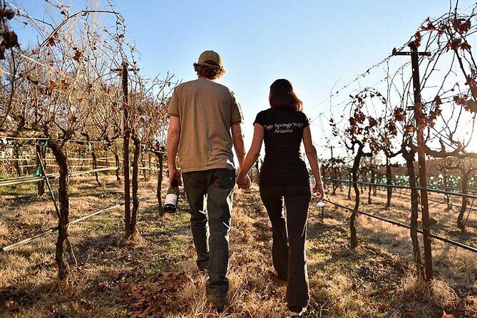 Private Wine Tour in Sedona, Arizona - Who Will Love This Tour?